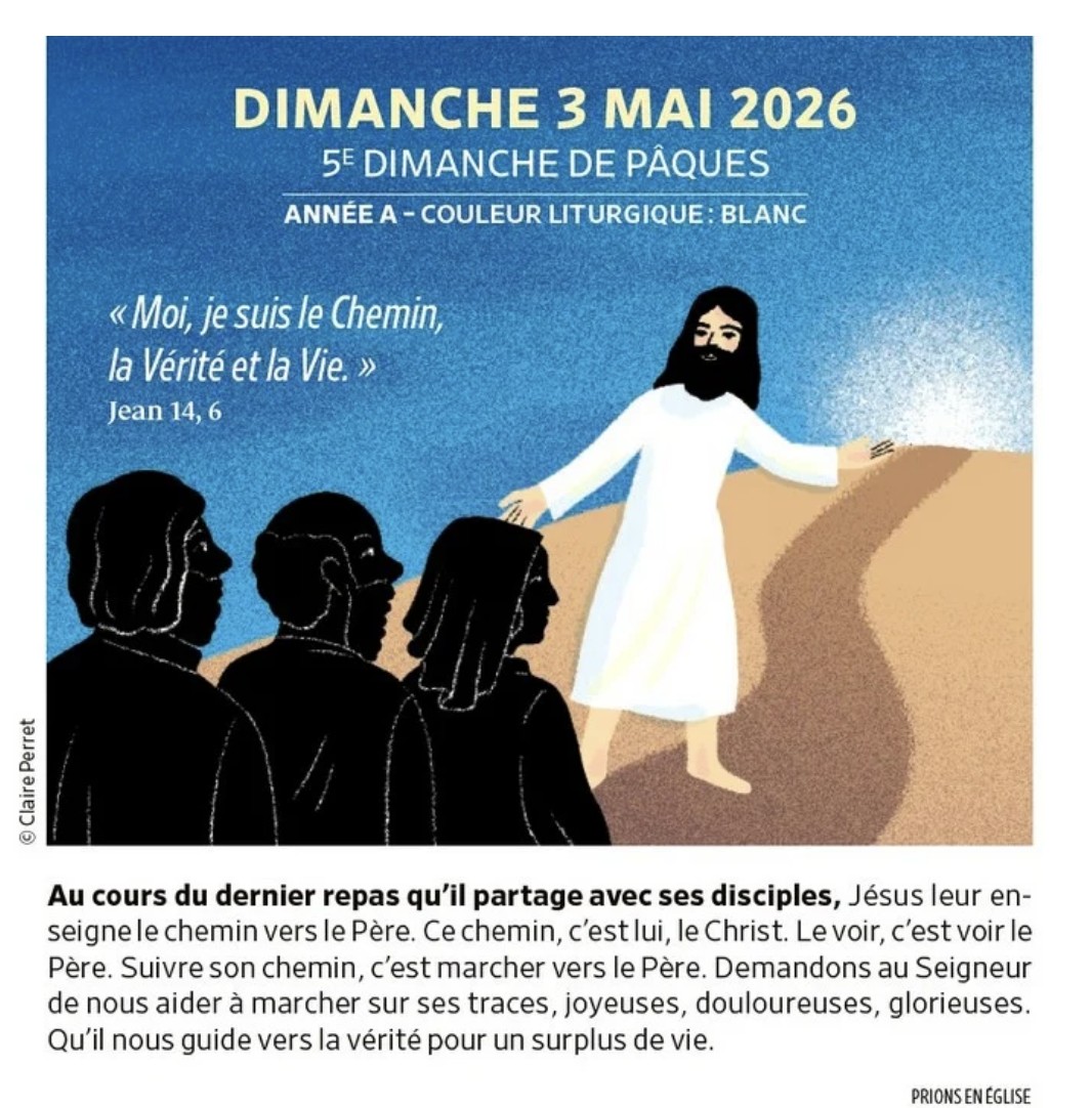 image (19)